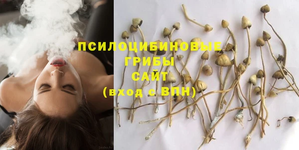 ALPHA PVP Елабуга