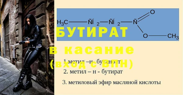 соль ск Дмитриев