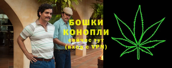 ECSTASY Шадринск
