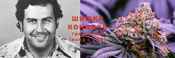 герыч Ельня